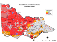 Map:  Potential distribution Stemless Thistle