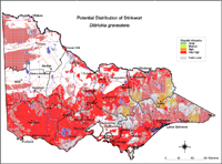 Map:  Potential distribution Stinkwort