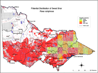 Map:  Potential distribution Sweet Briar