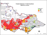 Map:  Potential distribution Tufted Honeyflower