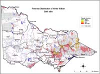 Map:  Potential distribution White Willow