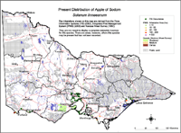 Map:  Present distribution Apple of Sodom