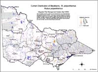 Map:  Present distribution Blackberry - Rubus polyanthemus