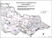 Map:  Present distribution Sallow Wattle