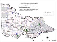 Map:  Present distribution Creeping Bent