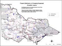 Map:  Present distribution Creeping Knapweed