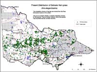 Map:  Present distribution Delicate Hair Grass