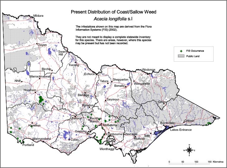 Map:  Present distribution - Coast Sallow Weed