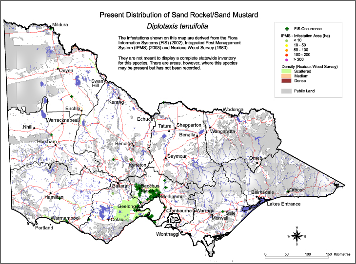 Map:  Present distribution - Sand Rocket