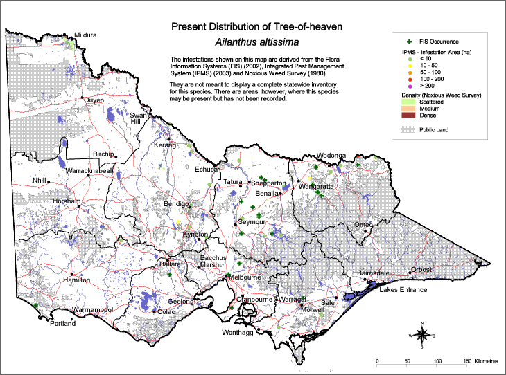 Map:  Present distribution - Tree of Heaven