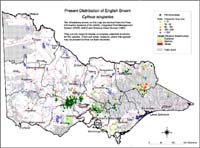 Map:  Present distribution English Broom