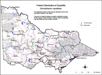 Present distribution of Espartillo