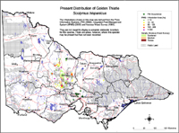 Map:  Present distribution Golden Thistle