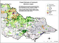 Map:  Present distribution Horehound