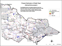 Present distribution of Khaki 