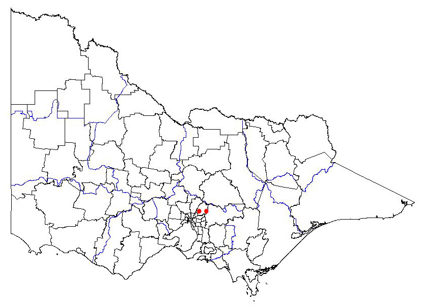 map showing the present distribution of plantago aristata