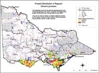 Map:  Present distribution Ragwort