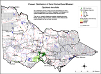 Map:  Present distribution Sand Rocket