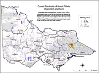 Map:  Present distribution Scotch Thistle