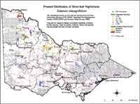 Map:  Present distribution Silver-leaf Nightshade