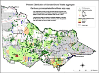 Map:  Present distribution Slender Thistle