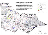 Map:  Present distribution Soldier Thistle