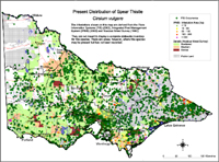 Map:  Present distribution Spear Thistle