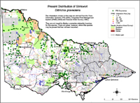 Map:  Present distribution Stinkwort