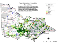 Map:  Present distribution Sweet Briar