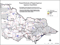 Map:  Present distribution Tangled Hypericum