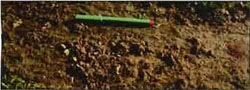 Soil fertility image 1