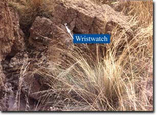 Photo: A large block of soil that has fallen into the tunnel owing to undercutting in the Parwan Valley. This wristwatch is shown here to indicate size.