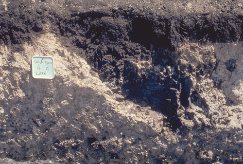 Image: SW102 Profile variability