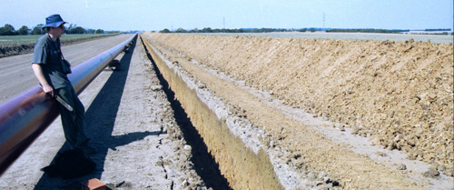 Image: SW93 Landscape