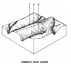 Land Capability Study - Ballan - Land Unit - Permian Sediments (Moist) - Pem