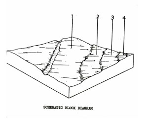 Land Capability Study - Ballan - Land Unit - Alluvial variable soils - Qya
