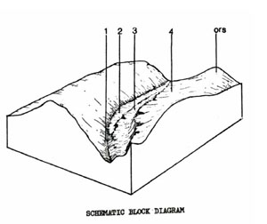 Land Capability Study - Ballan - Land Unit - Alluvial variable soils (moist) - Qym