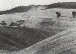A Study of land in the catchments of the Otway Range and adjacent plains - hordern vale