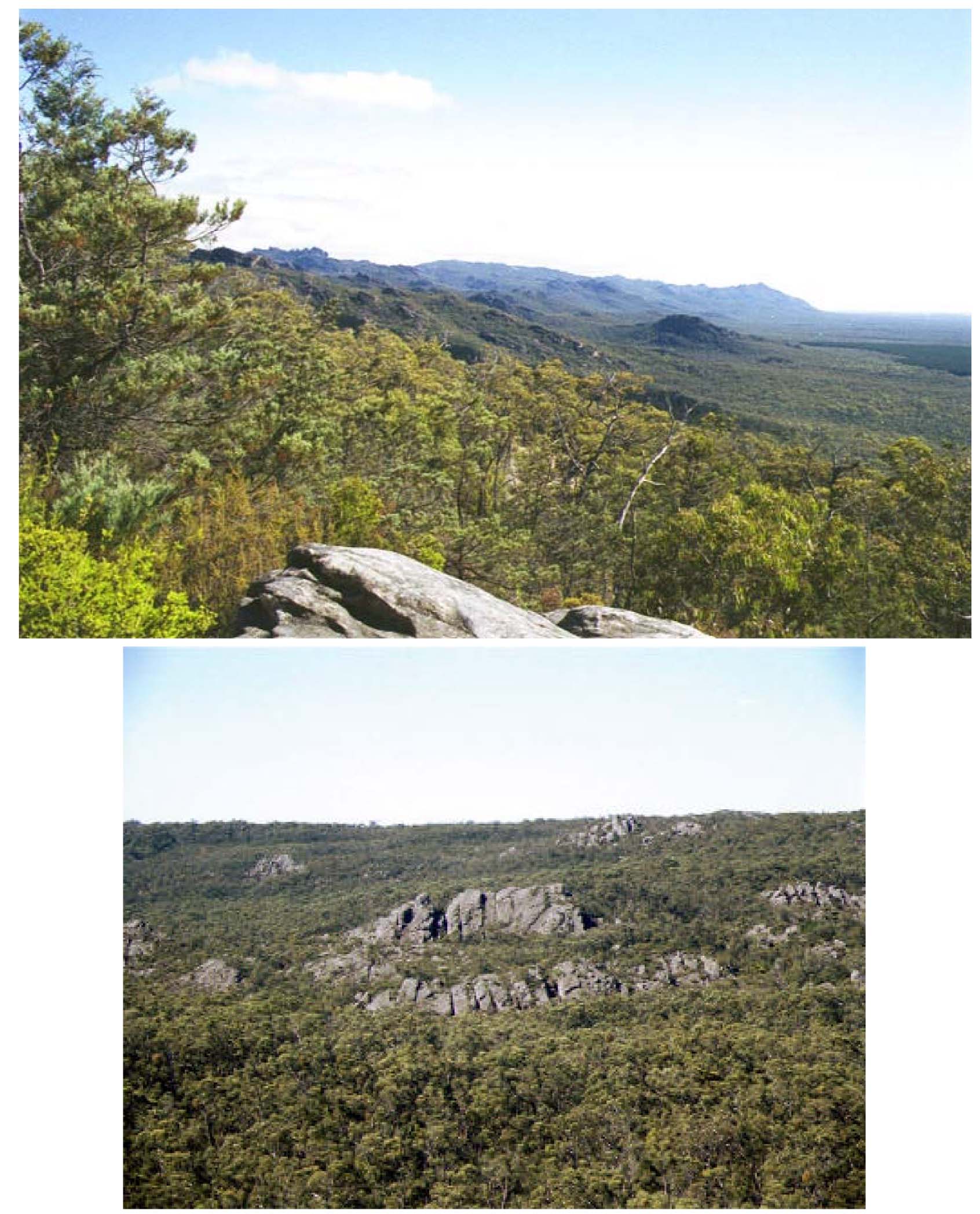 Glenelg Land Resource Assessment - Land Unit System - Grampians sandstone